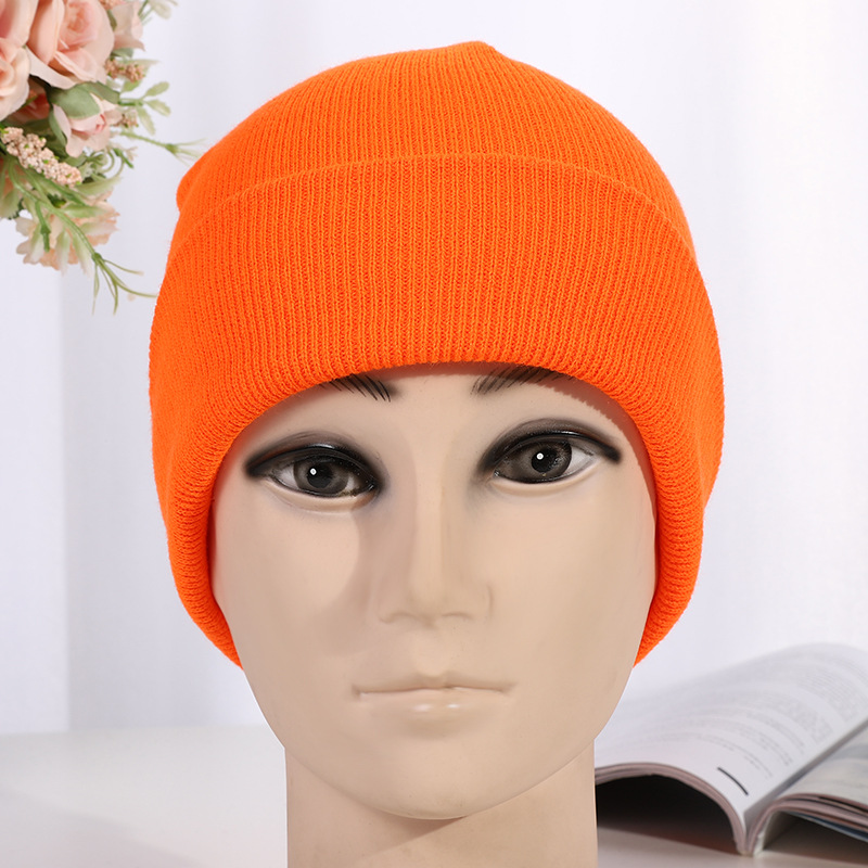 Beanie Hat 1