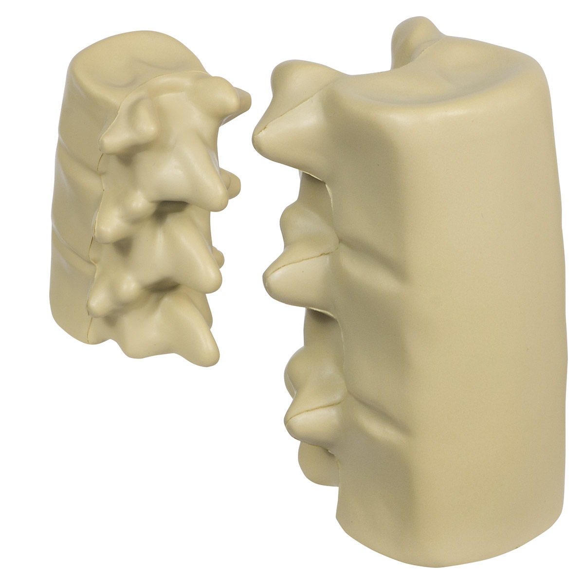 Spinal Segment Stress Reliever 5