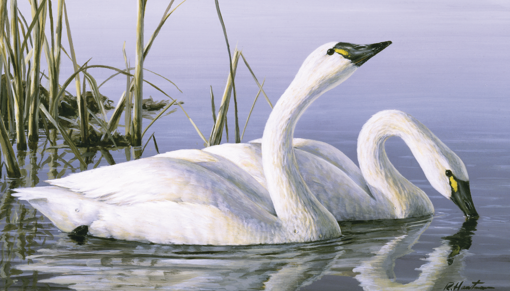 Triumph® Calendars Wildlife Art by the Hautman Brothers Calendar 9