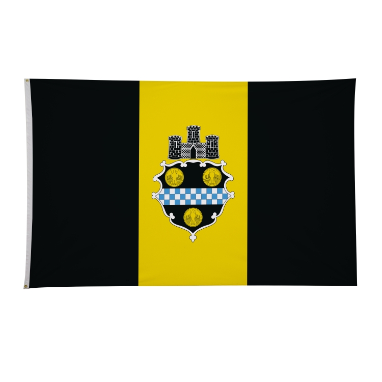 5' x 8' City Flags 60