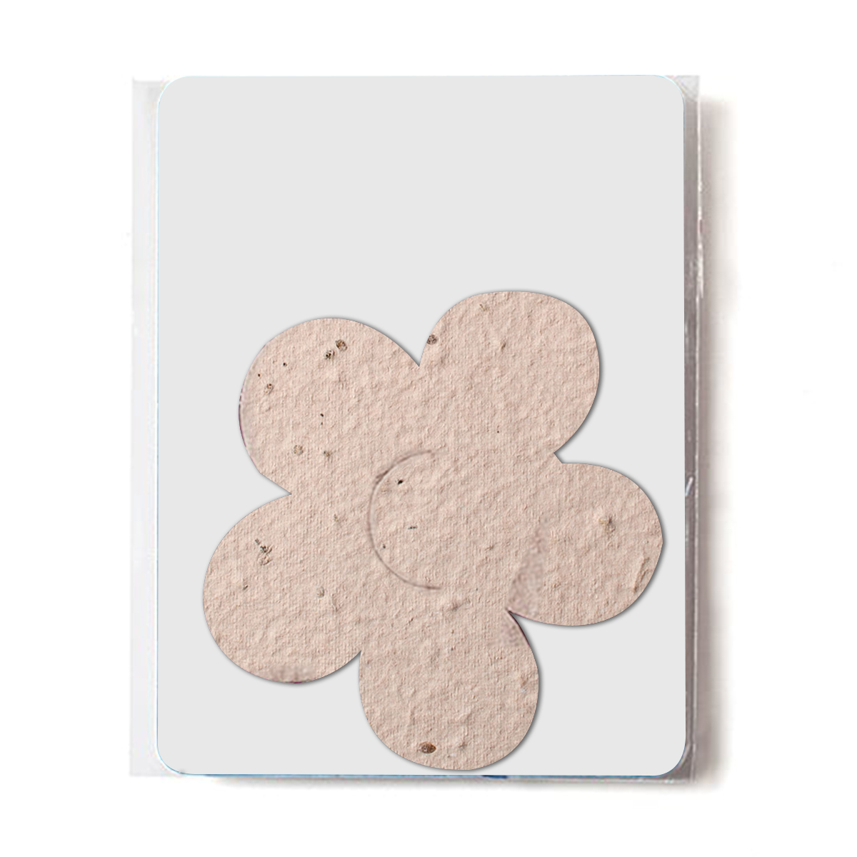 Bloomin® Flower Shaped Plantable Gift Pack 2
