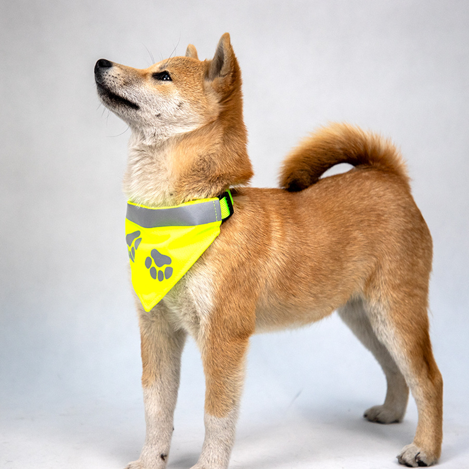 Adjustable Reflective Pet Bandana 3