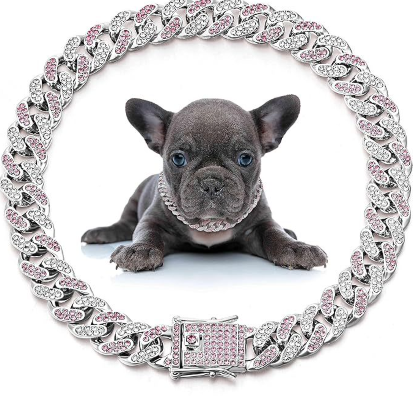 Basic Dog Collars 2