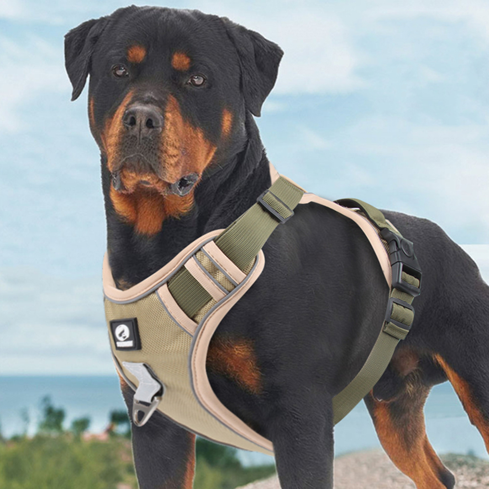 Tactical Dog Harness For Large Dogs 2