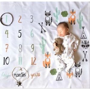 Month Photo Background Baby Milestone Blanket 2