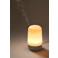 Vitruvi Glow Diffuser and Essential Oil Bundle Set 40