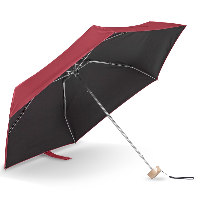 Custom Mini Umbrellas 23