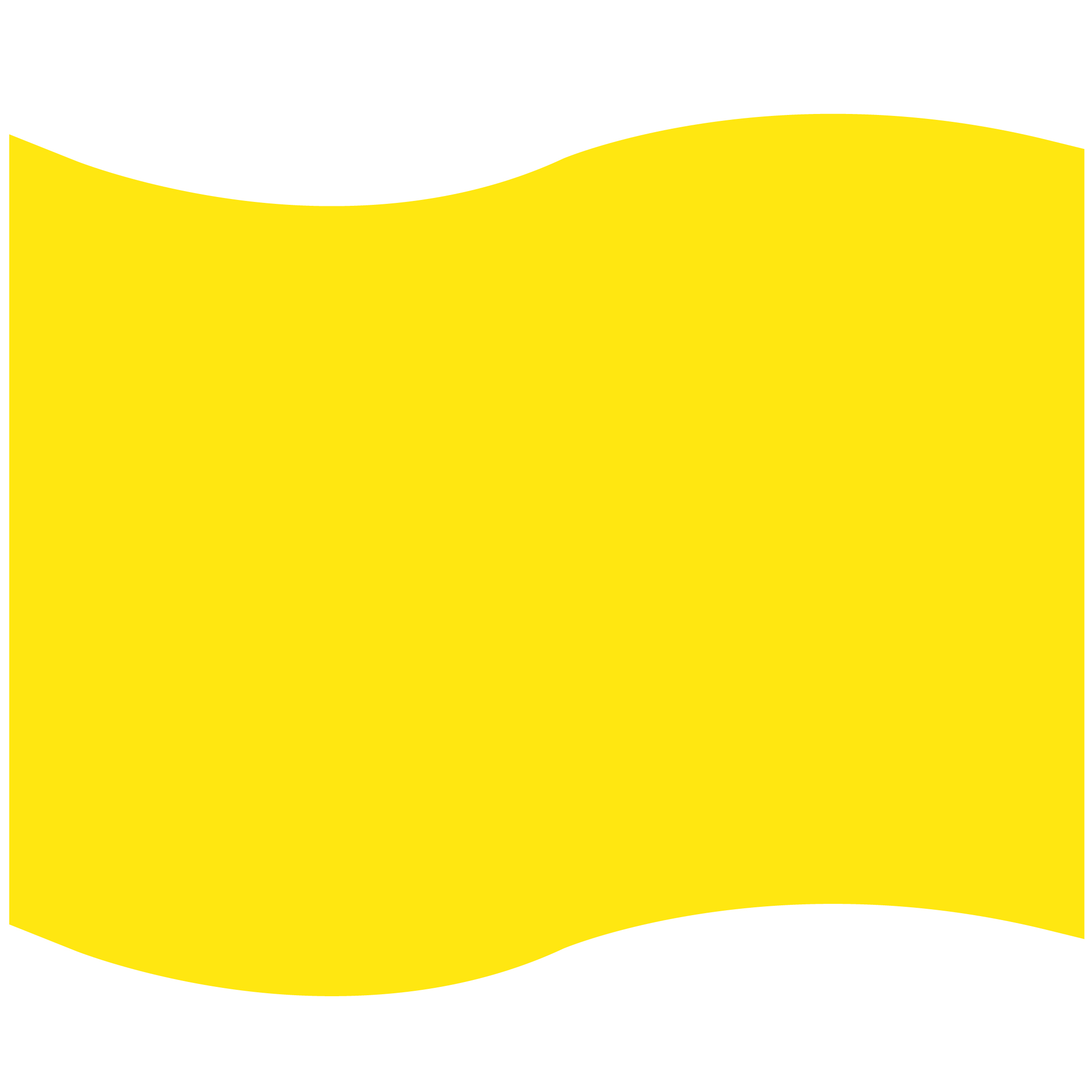 Foam Flag Mitt 12
