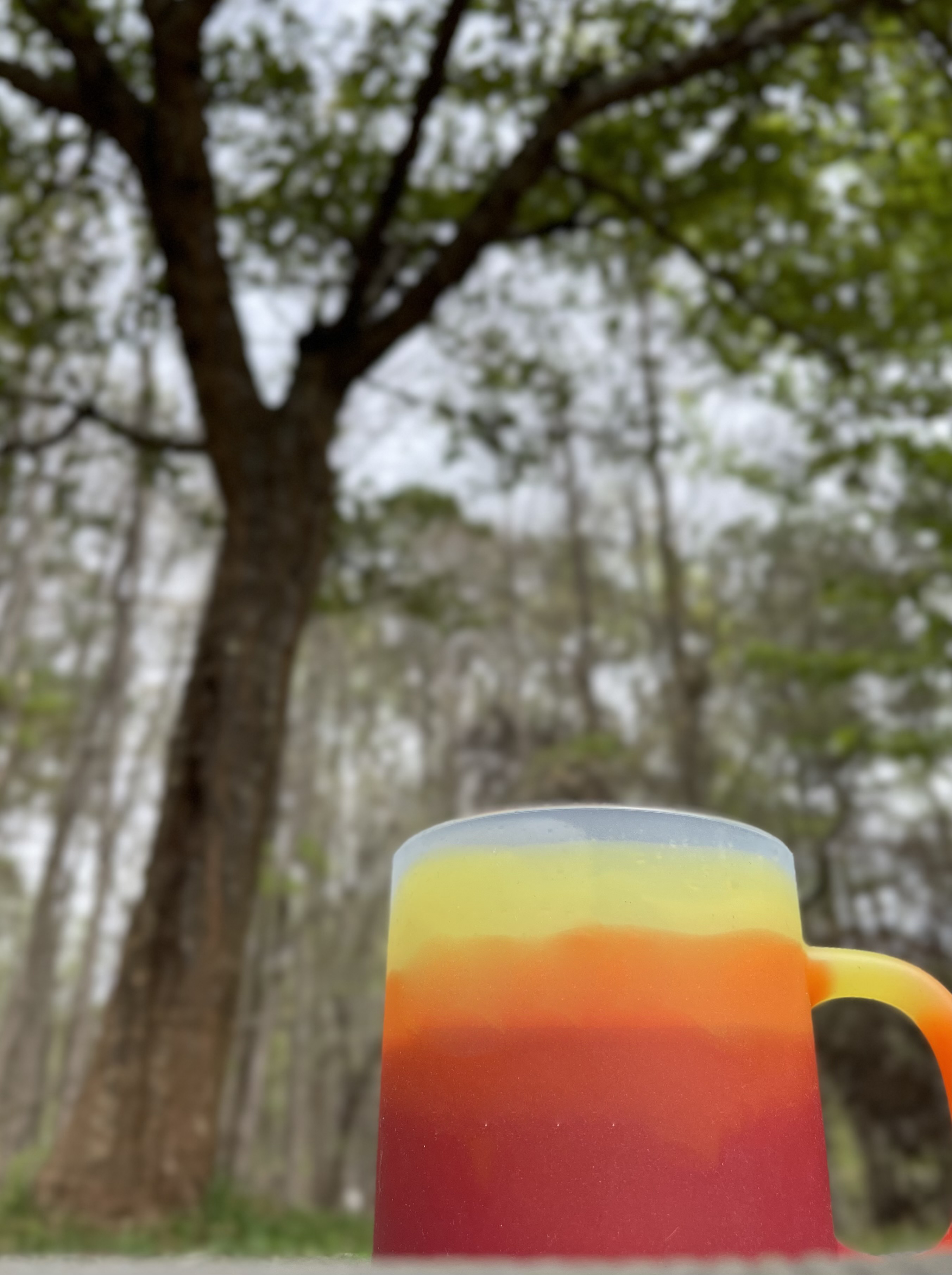 Silipint® Coffee Mug - 16 oz. 18