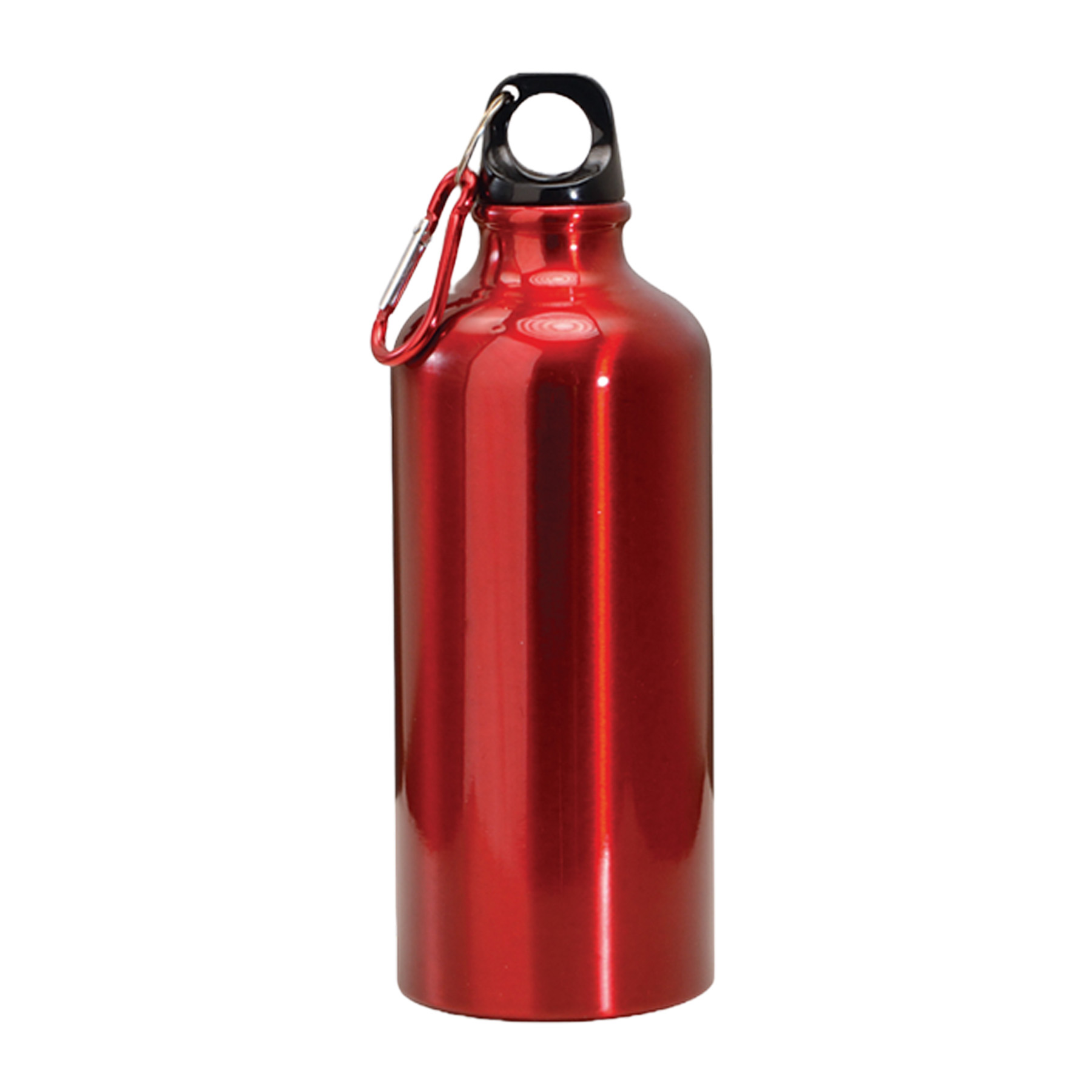 22 oz. Aluminum Water Bottle with Carabiner 2