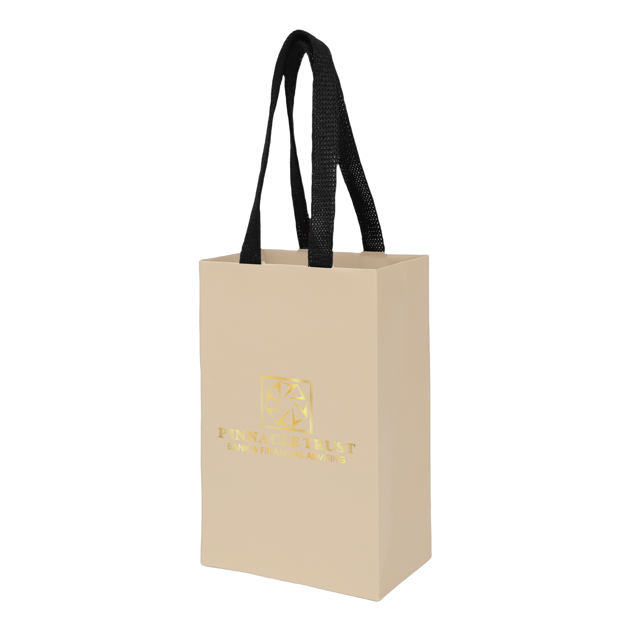 Sugarcane Paper Bag with Embedded Web Style Paper Handles - 10