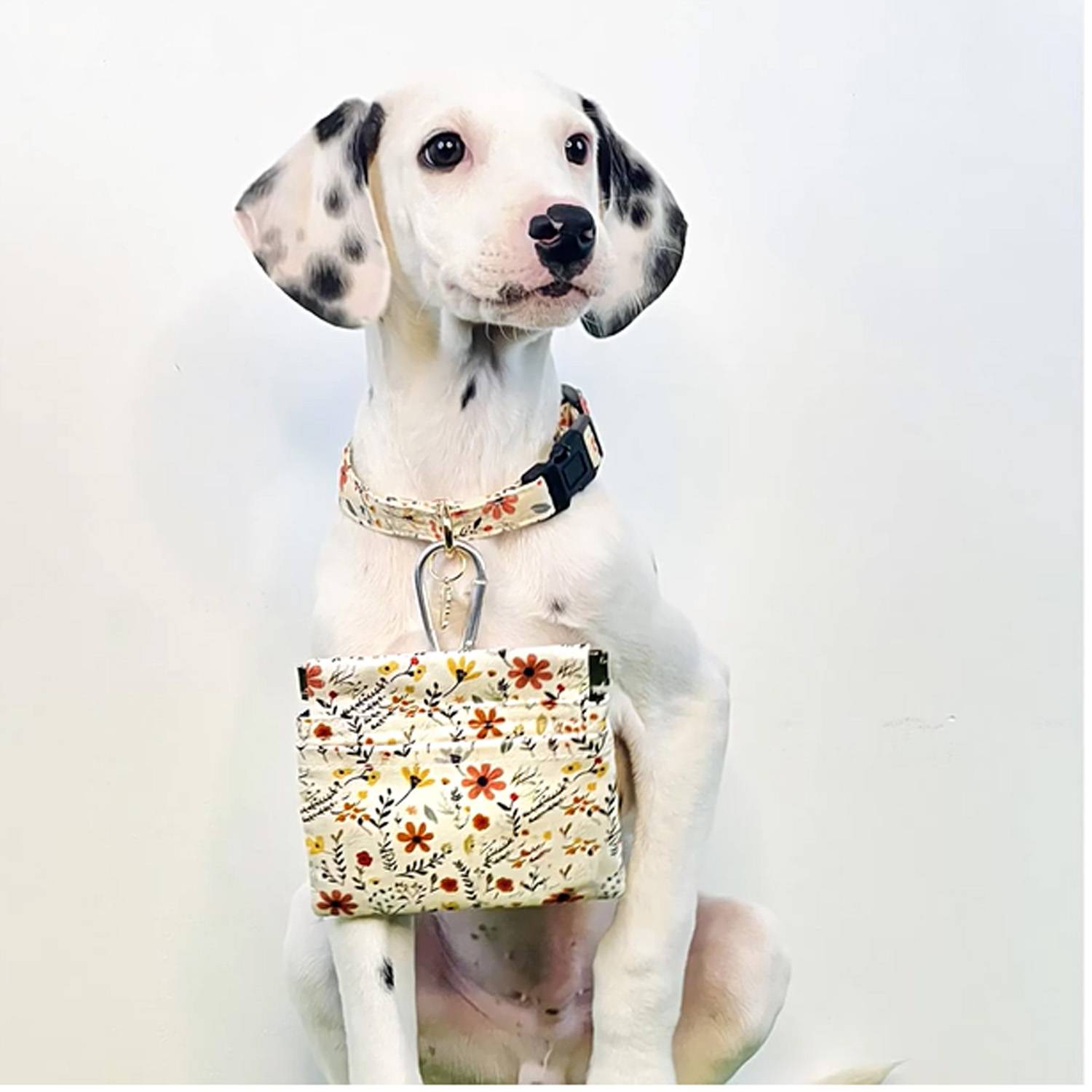 Portable Dog Treat Pouch Pet Training Bag w/ Carabiner 4