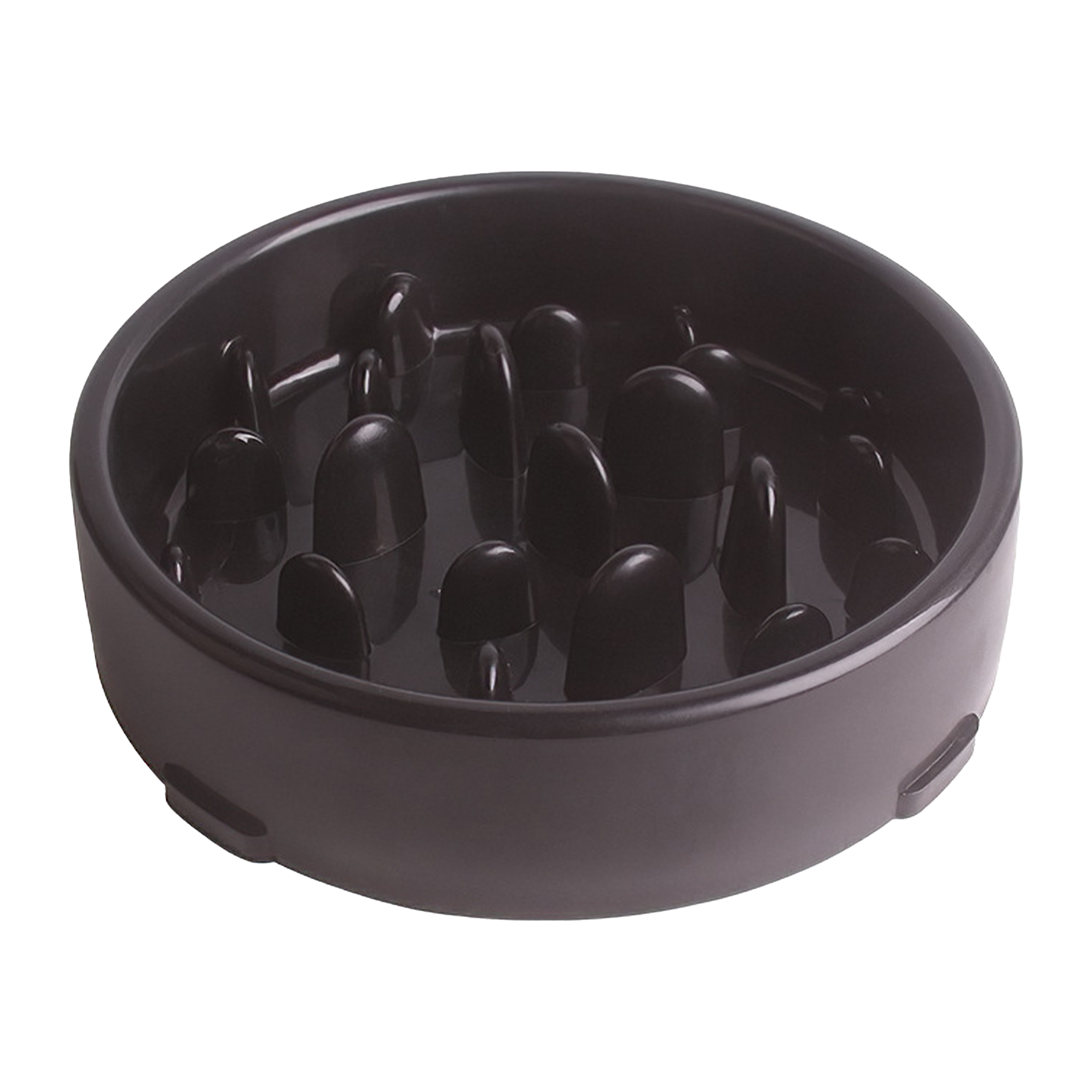 Polypropylene Thickened Practical Pet Feeder 3