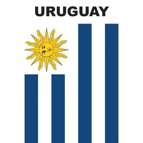 Mini Banner - Uruguay 2