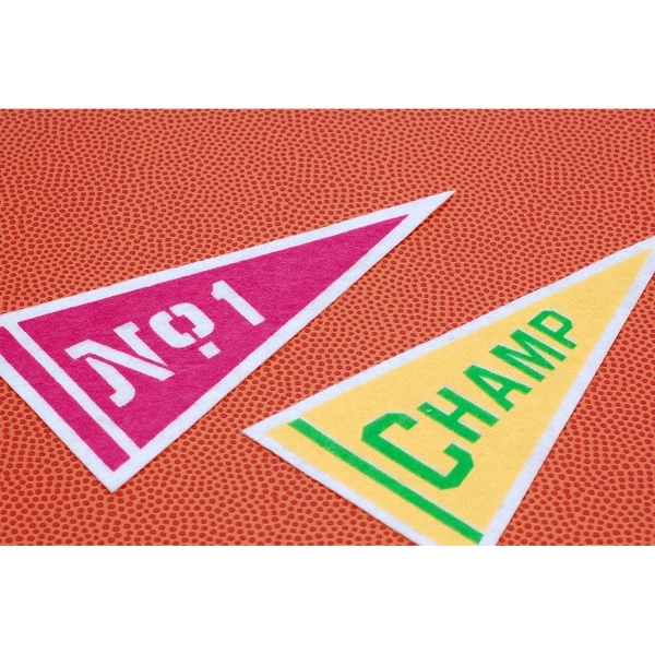 17" x 40" Acrylic Felt Pennant with Wood Pole - Class B 1