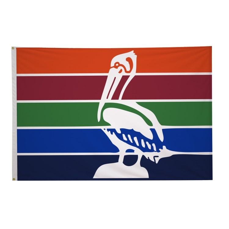 4' x 6' City Flags 31