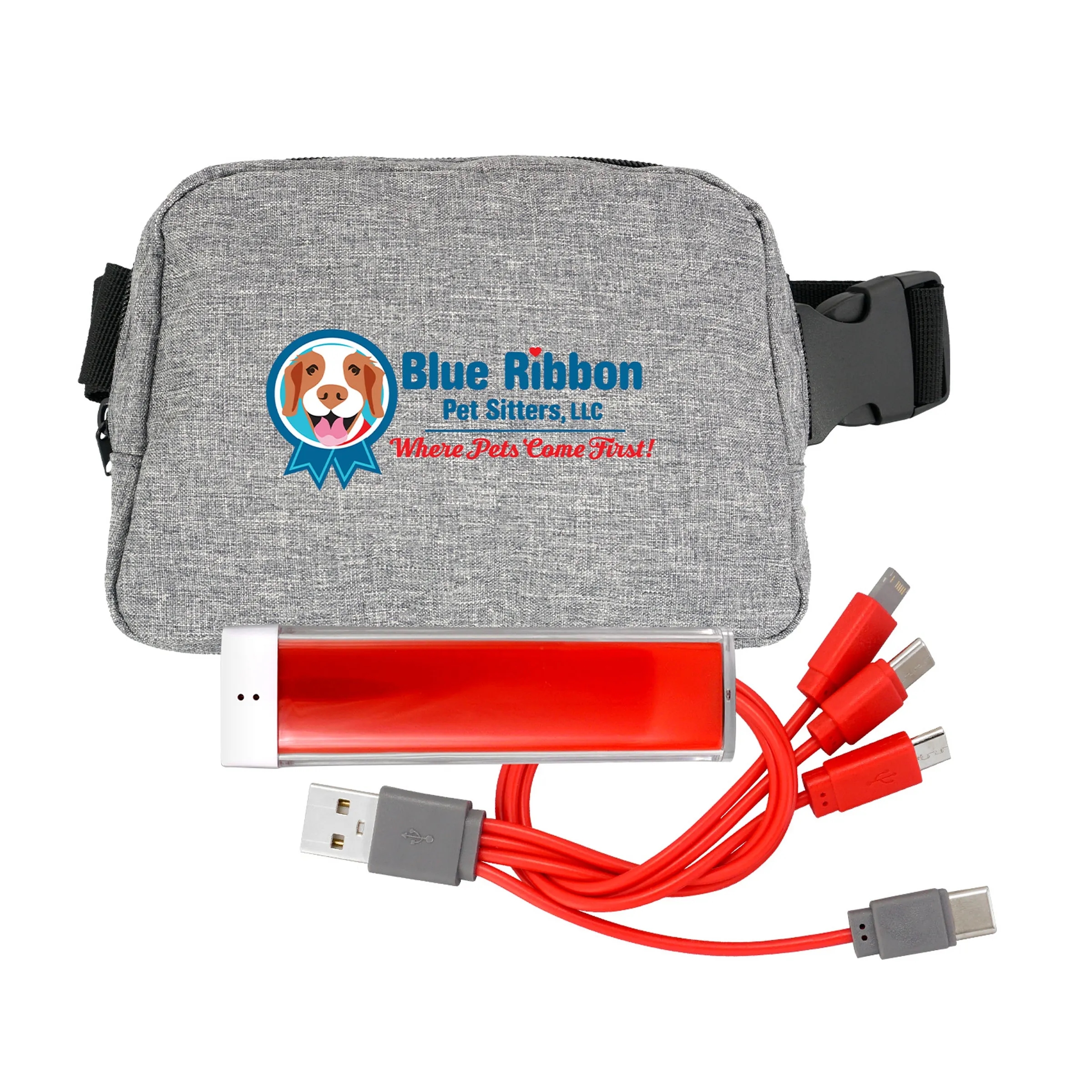 PROVIDENCE RECYCLED FANNY PACK SET 9