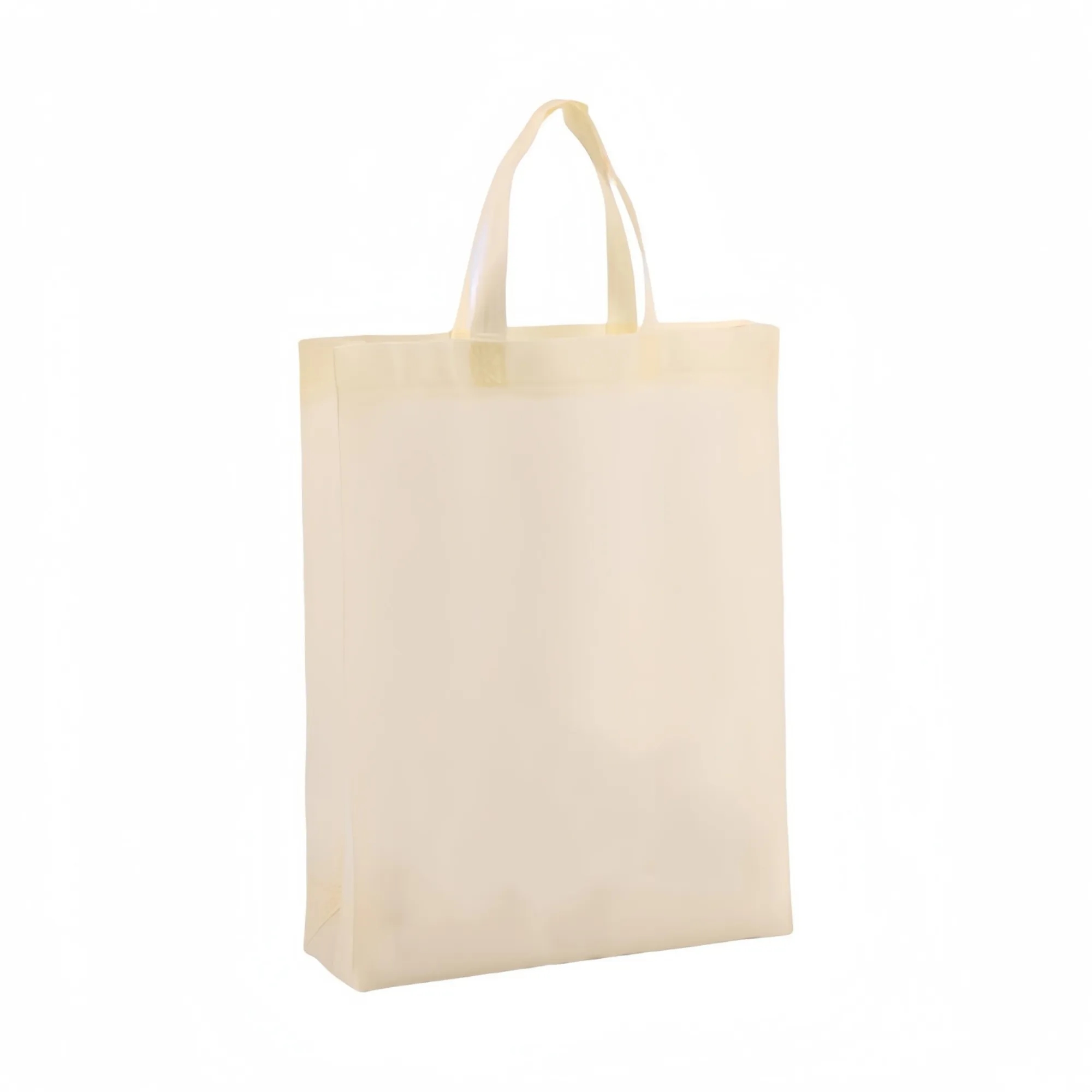 Non-Woven Fabric Bag with Handle 11