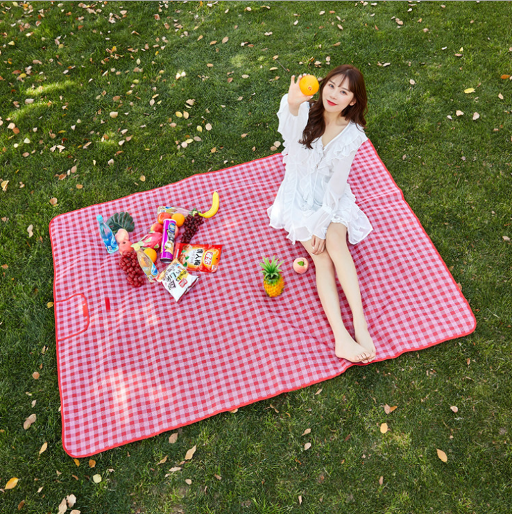 Picnic Blanket 1