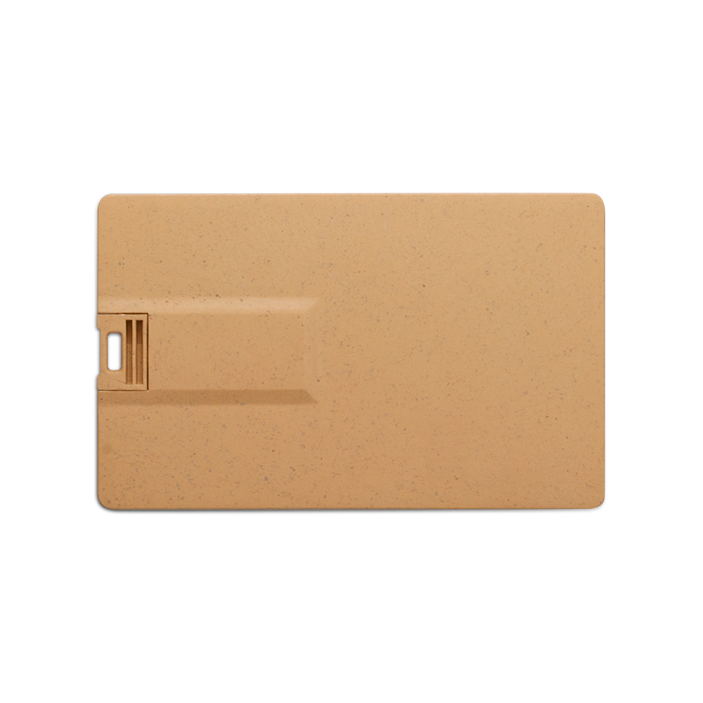 Broadview Eco-Friendly Card USB 5