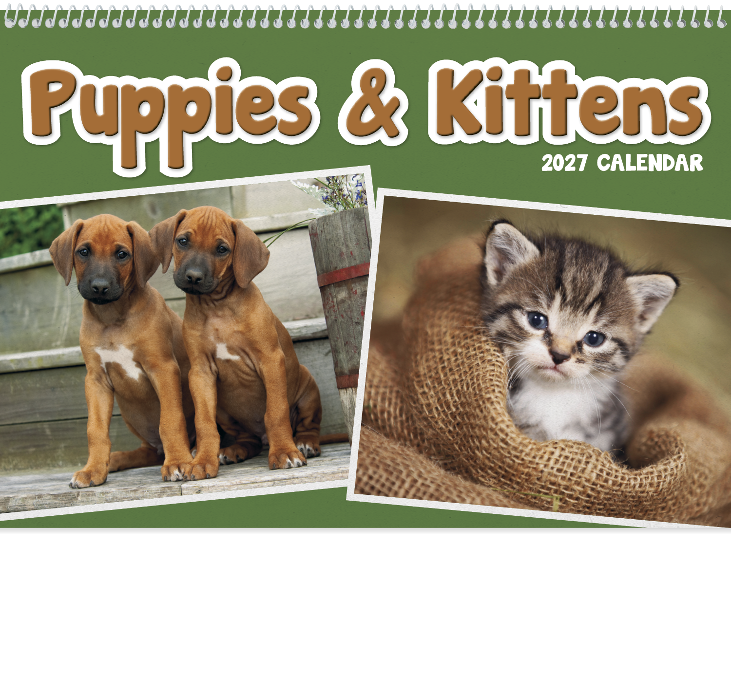 Triumph® Calendars Puppies & Kittens Pocket Calendar 44