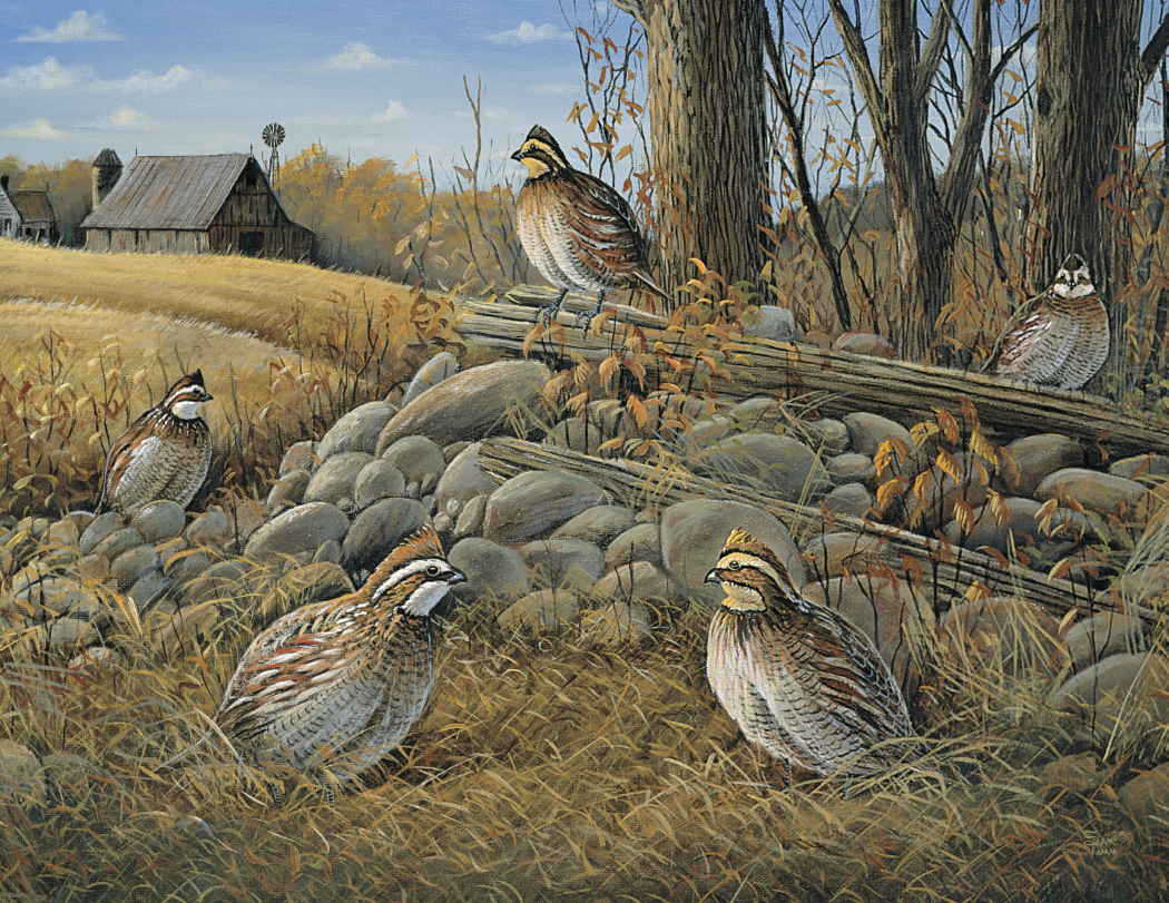 Triumph® Calendars Wildlife Art Calendar 34