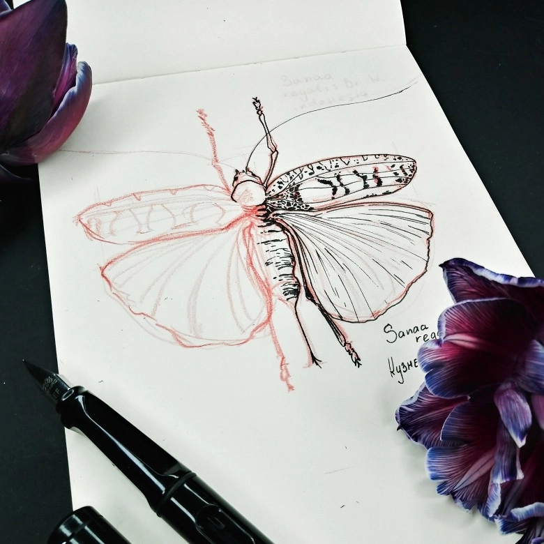 Light Metal Pen 7