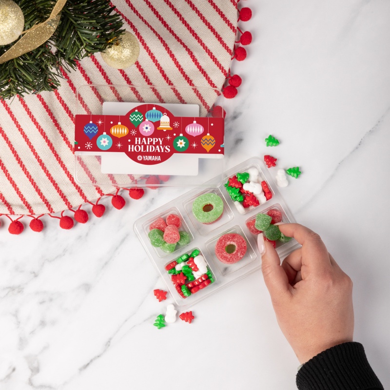 Mini Tackle Box- Holiday 3