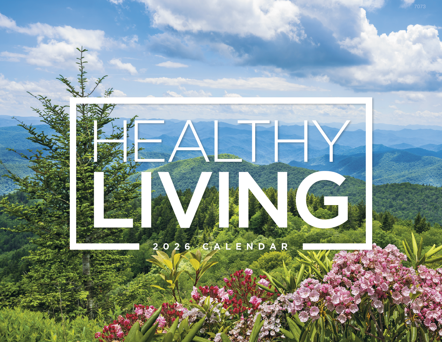 Good Value™ Healthy Living - Window Calendar 37