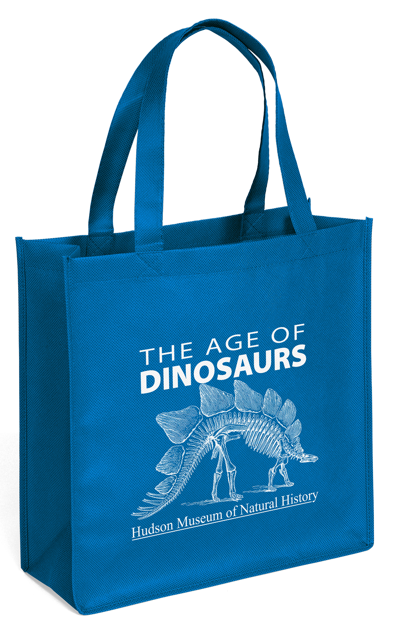 Abe - Celebration Tote - Screen Print 9