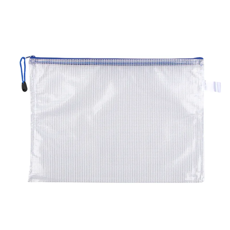 Transparent Document Bag 1