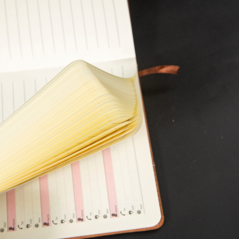 Finch Notebook 6
