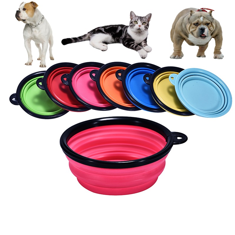 Silicone Collapsible Pet Bowl With Carabiner 1