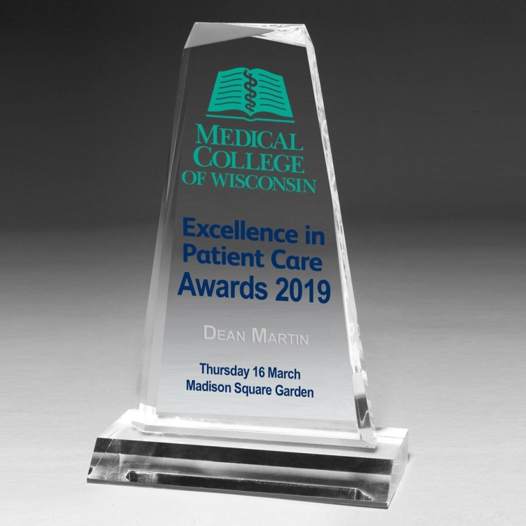 Multi-Faceted Acrylic Award - 8 3/4" - Screen Print 7