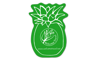 Pineapple Vinyl Jar Opener 9