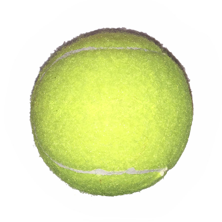 Full Color Fido's Dog Ball 30