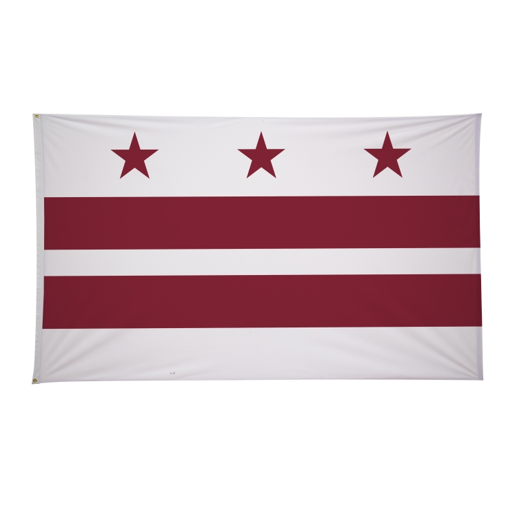 6' x 10' City Flags 39