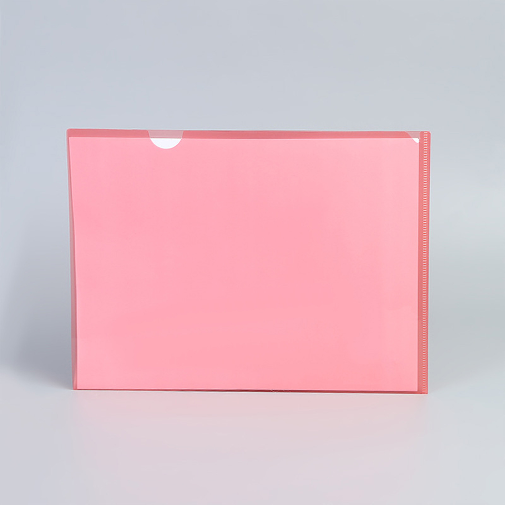 A4 Plastic File Folders 2