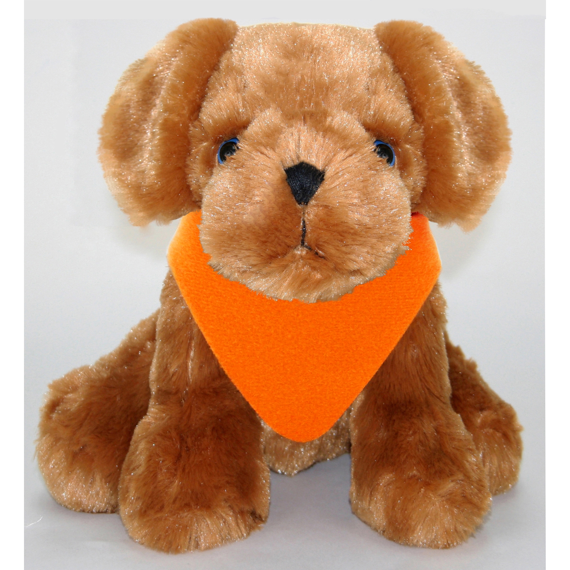 9" Floppy Kohair Lab 2