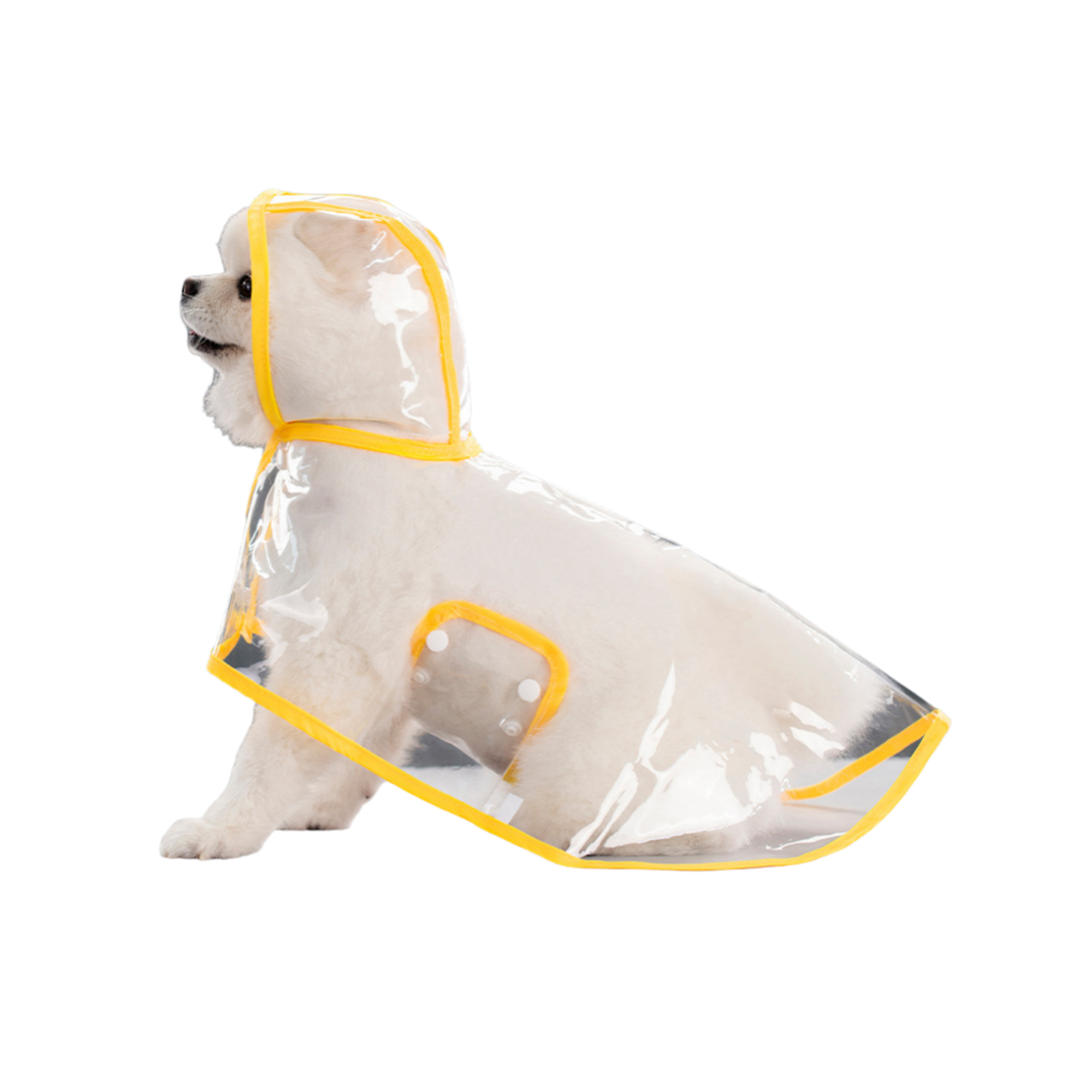Transparent Pet Raincoat 4