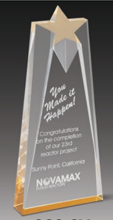 Sculptured Star Tower Award 2