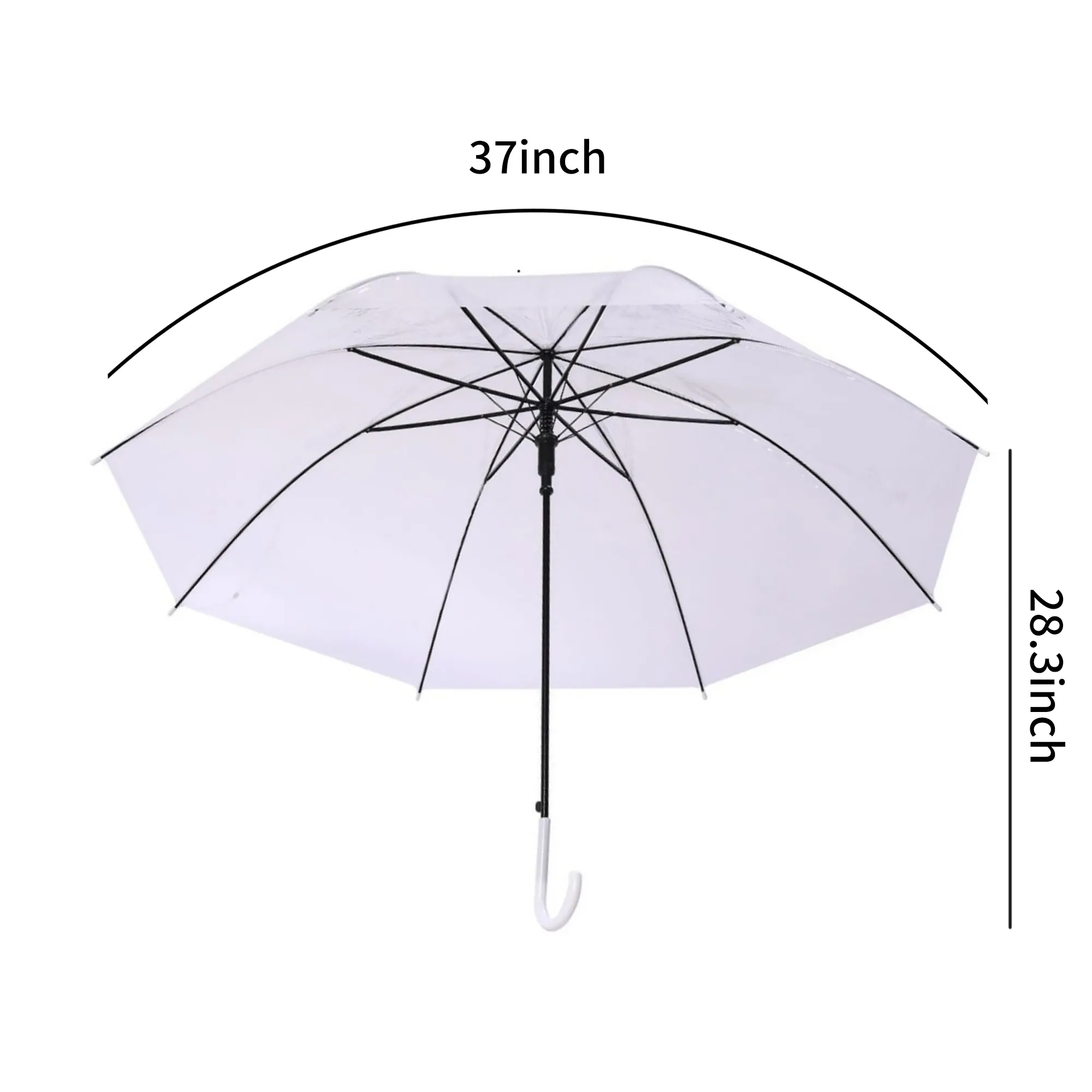 Transparent Umbrella 1
