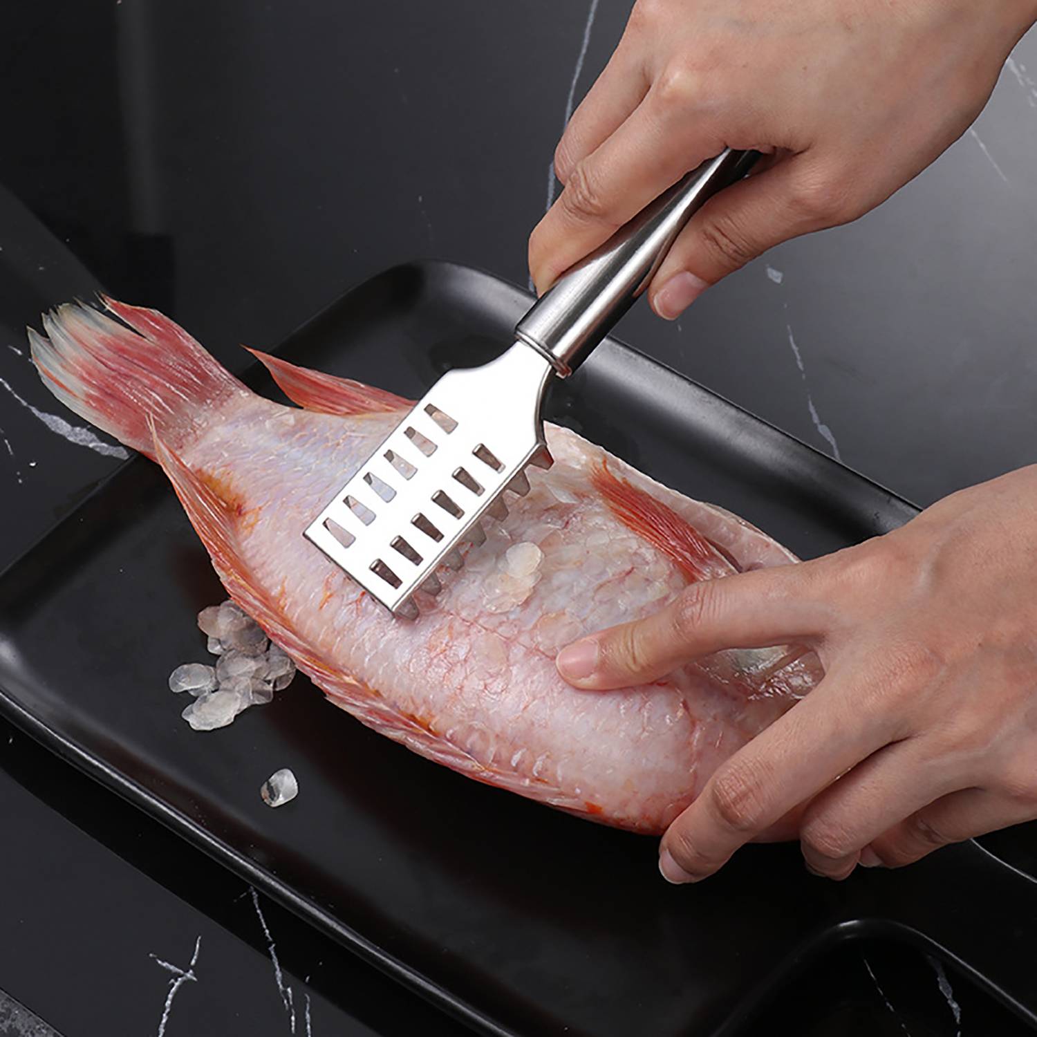 Stainless Steel Fish Scaler 7