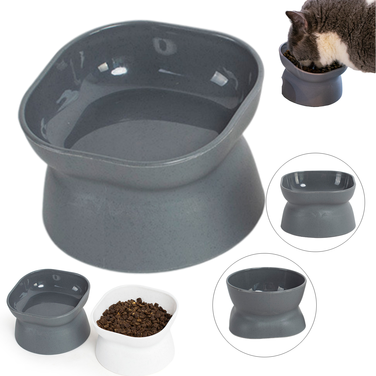 Pet Food Bowl 2