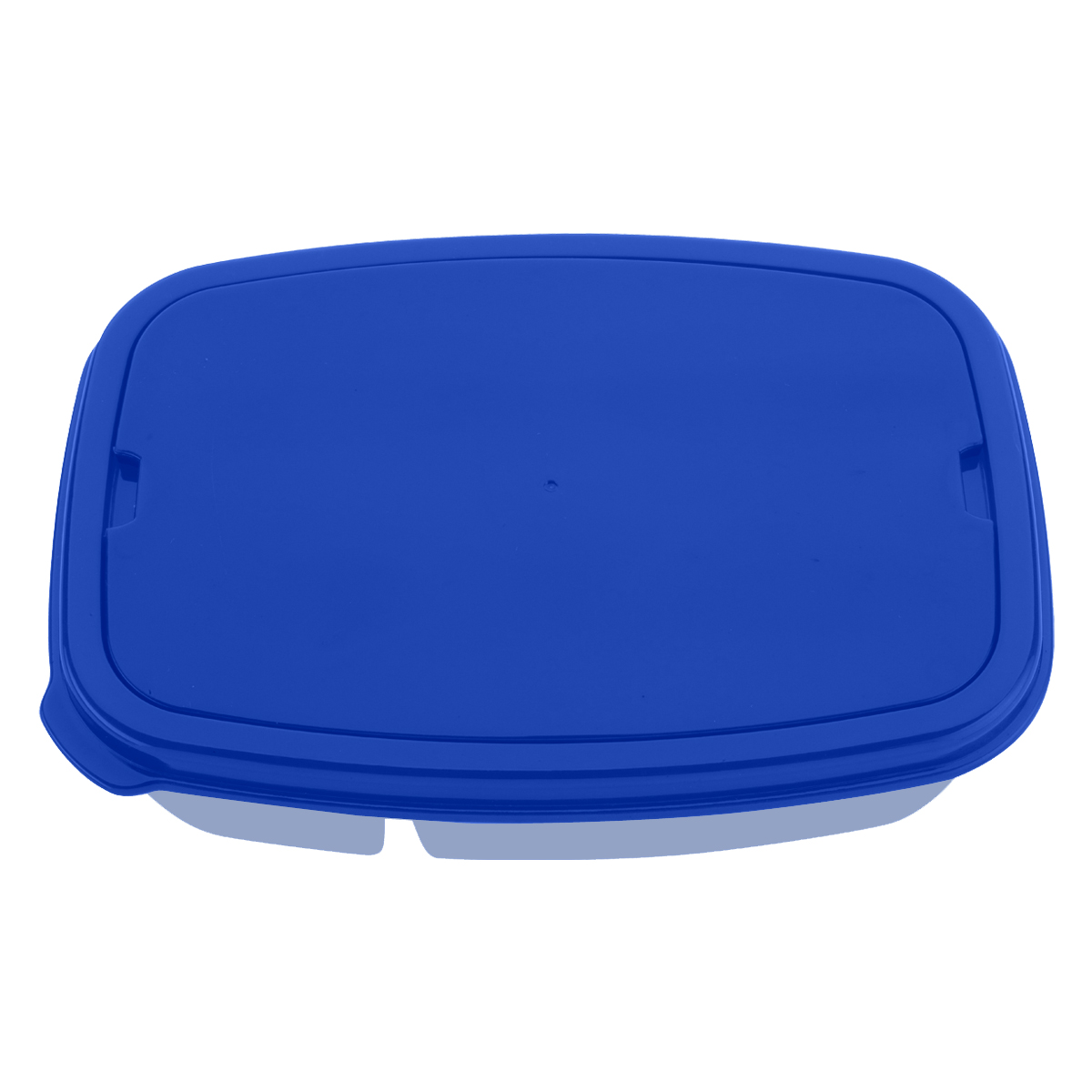 2-Section Lunch Container With Custom Handle Box 4