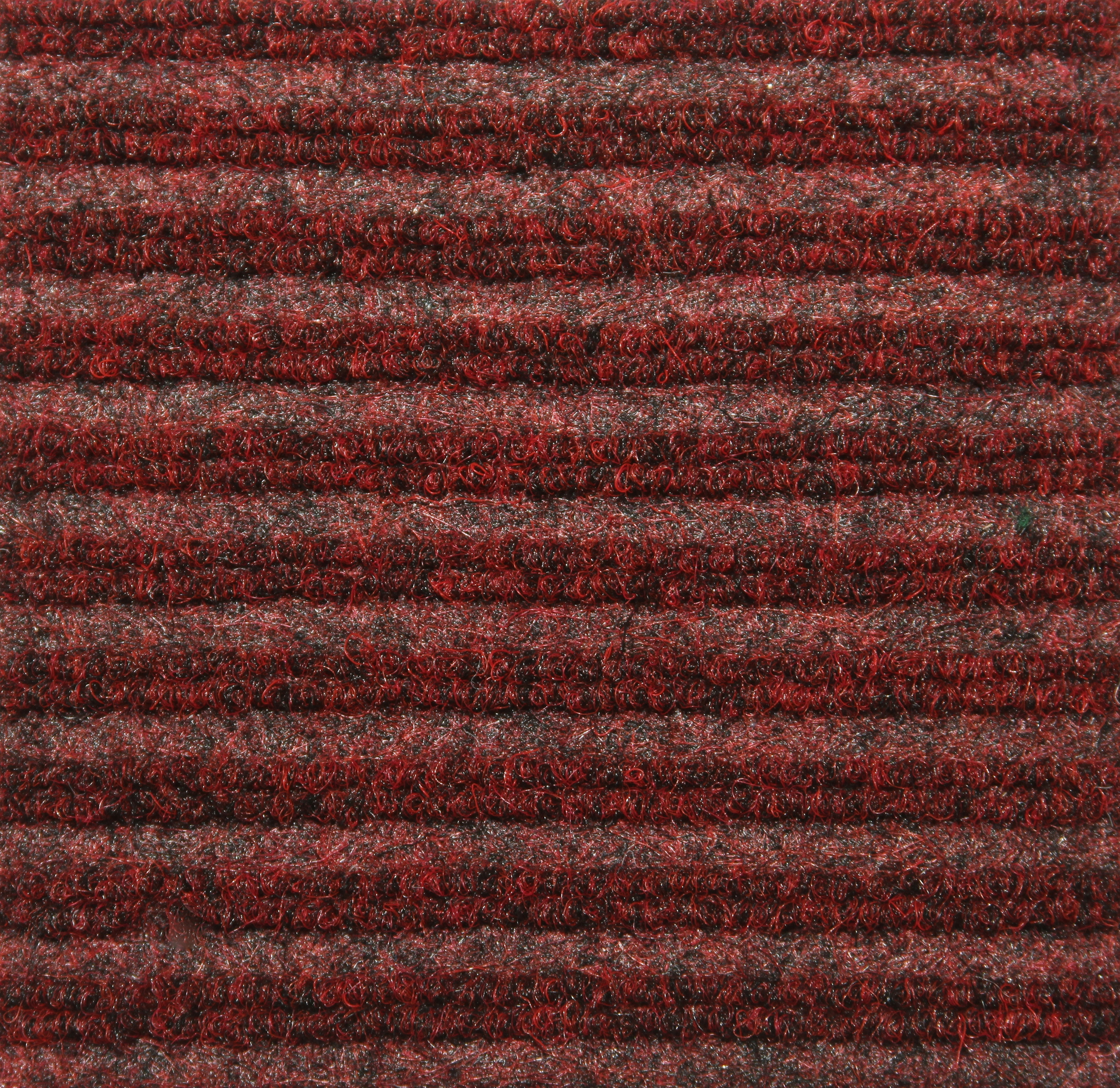 Spectra-Rib 4