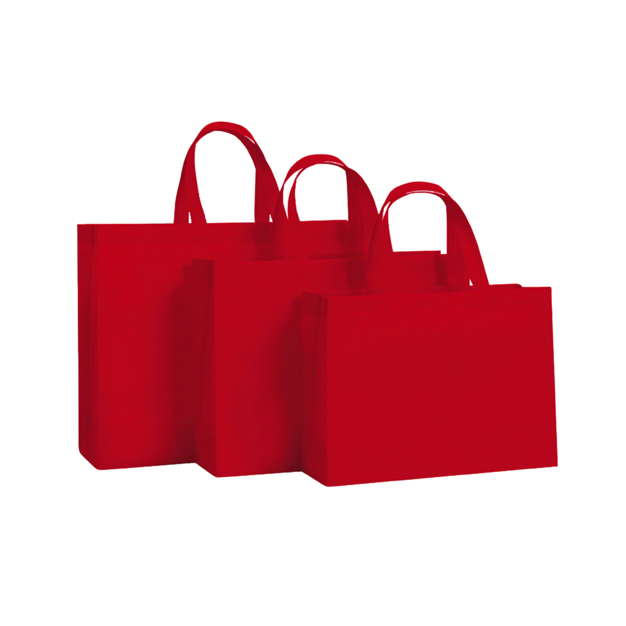 Horizontal Non Woven Shopping Bag 12