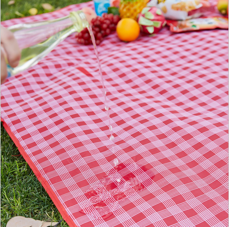 Picnic Blanket 2
