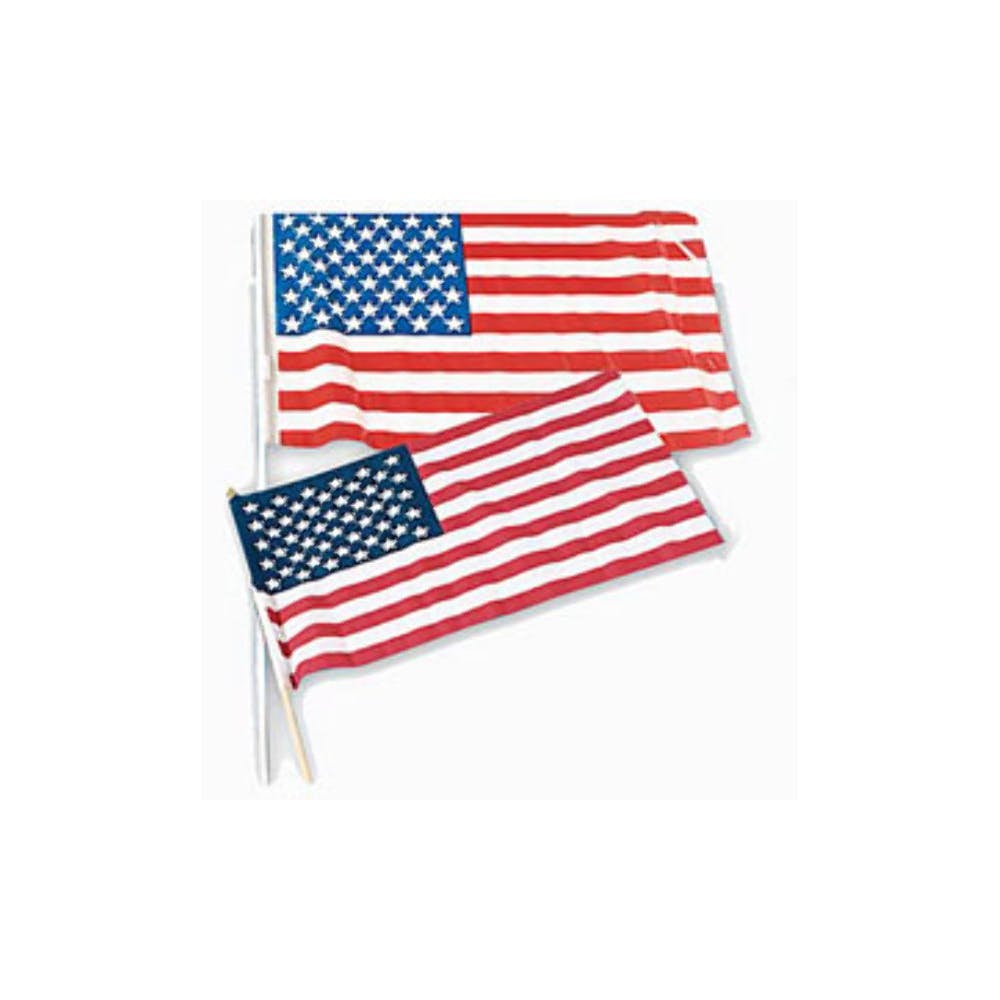 USA Flags - 8" x 12" 1