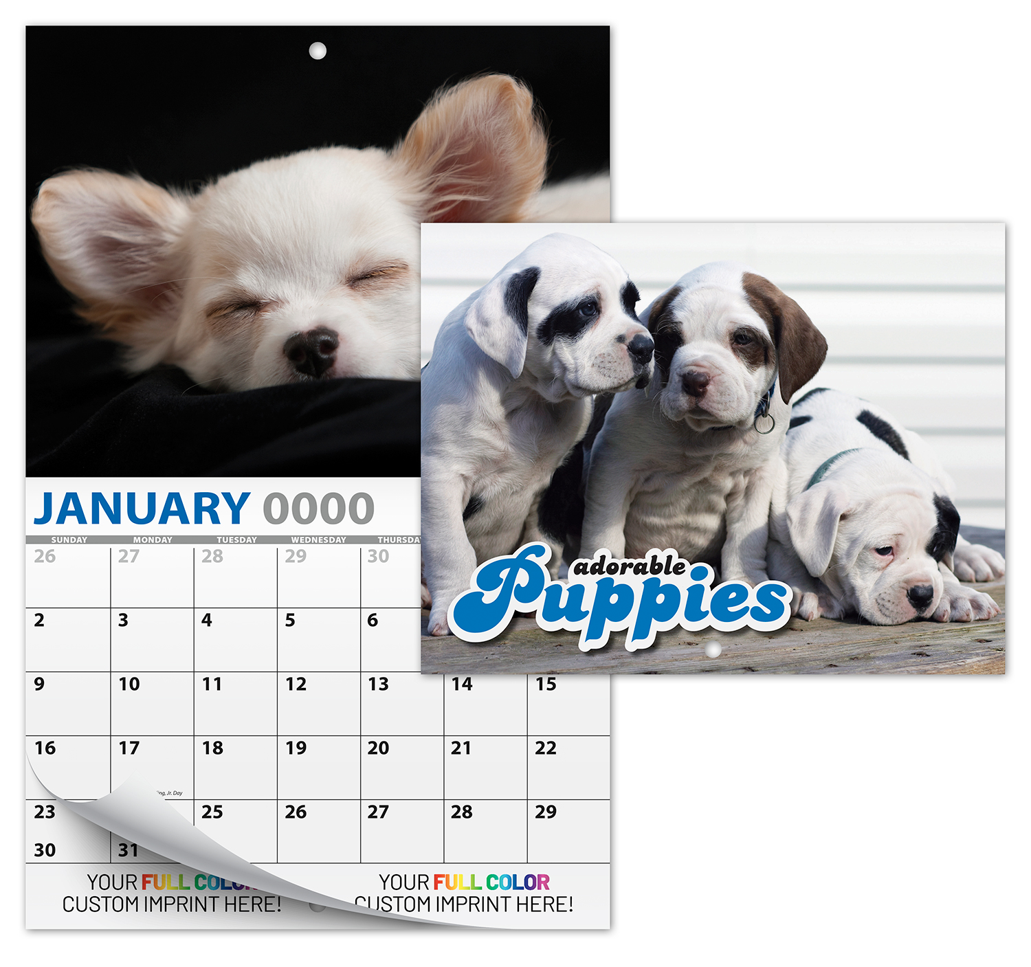 13 Month Custom Appointment Wall Calendar (High Gloss UV-Coated Cover)- PUPPIES 1